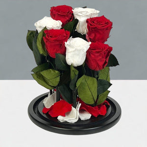 Aranjament Cu 7 Trandafiri Criogenati În Cupolă De Sticlă Cu Mesaj Personalizat - Trandafir - Criogenat.ro