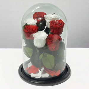 Aranjament Cu 7 Trandafiri Criogenati În Cupolă De Sticlă Cu Mesaj Personalizat - Trandafir - Criogenat.ro