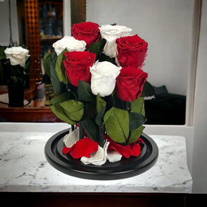 Aranjament Cu 7 Trandafiri Criogenati În Cupolă De Sticlă Cu Mesaj Personalizat - Trandafir - Criogenat.ro