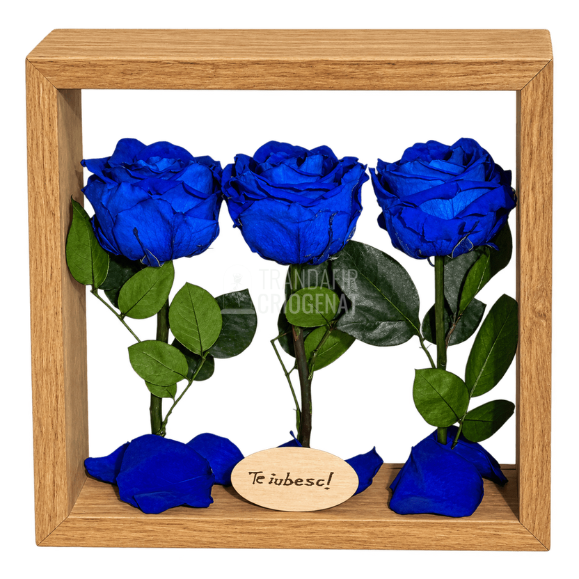 Aranjament de masă cu 3 trandafiri criogenați albaștri 27 × 27 cm - Trandafir-Criogenat.ro