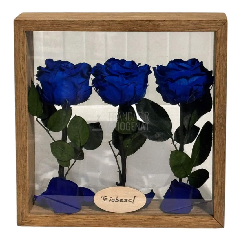 Aranjament De Masă Cu 3 Trandafiri Criogenați Albaștri Și Mesaj Personalizat 27x27 Cm - Trandafir - Criogenat.ro