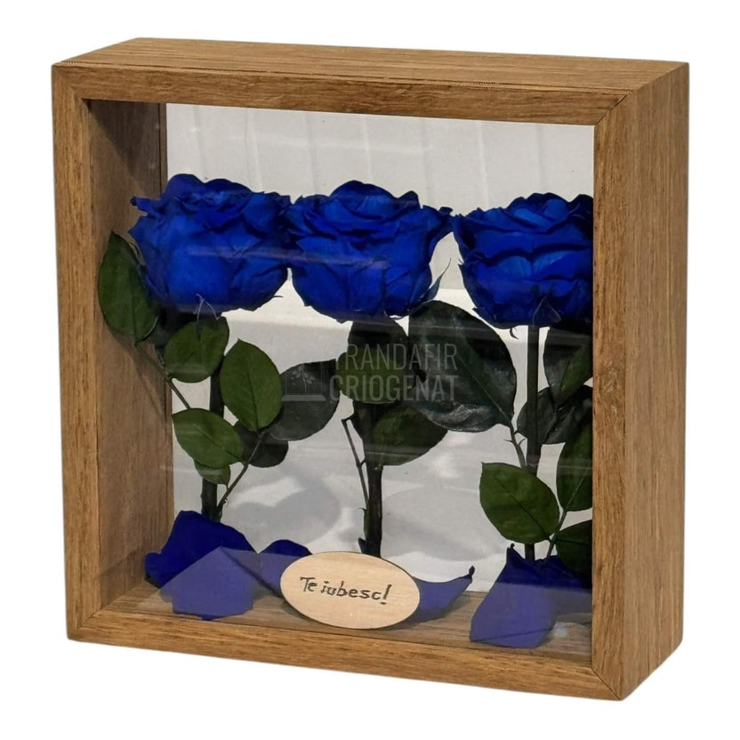 Aranjament De Masă Cu 3 Trandafiri Criogenați Albaștri Și Mesaj Personalizat 27x27 Cm - Trandafir - Criogenat.ro