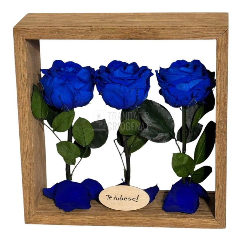 Aranjament De Masă Cu 3 Trandafiri Criogenați Albaștri Și Mesaj Personalizat 27x27 Cm - Trandafir - Criogenat.ro
