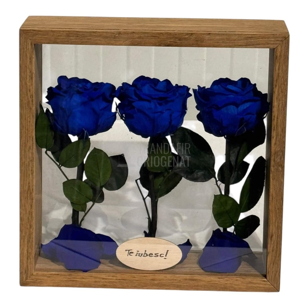 Aranjament De Masă Cu 3 Trandafiri Criogenați Albaștri Și Mesaj Personalizat 27x27 Cm - Trandafir - Criogenat.ro
