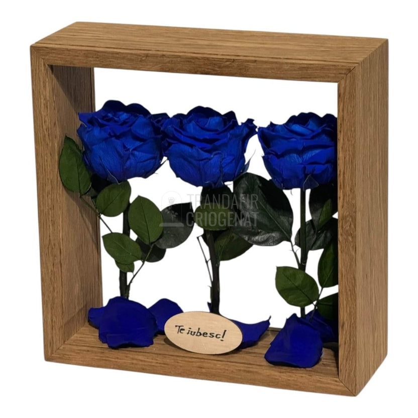 Aranjament De Masă Cu 3 Trandafiri Criogenați Albaștri Și Mesaj Personalizat 27x27 Cm - Trandafir - Criogenat.ro