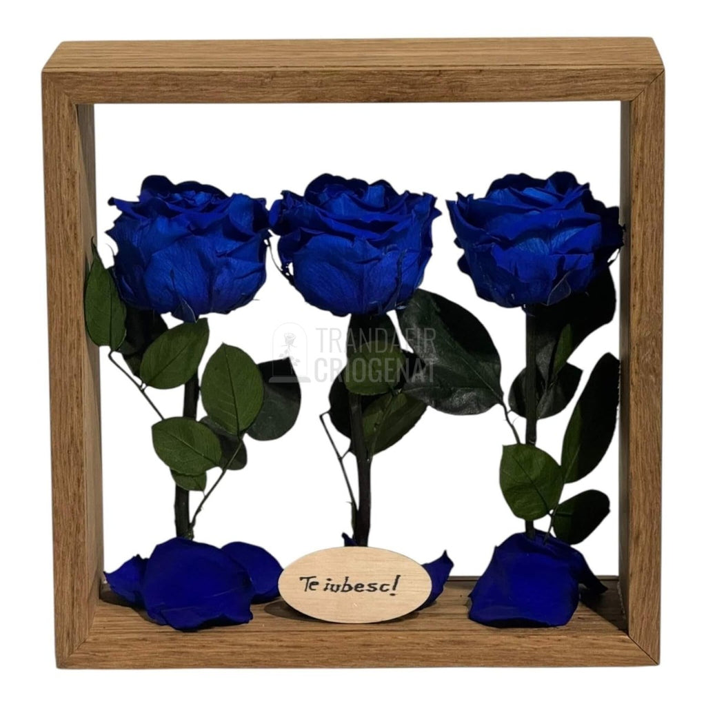 Aranjament De Masă Cu 3 Trandafiri Criogenați Albaștri Și Mesaj Personalizat 27x27 Cm - Trandafir - Criogenat.ro