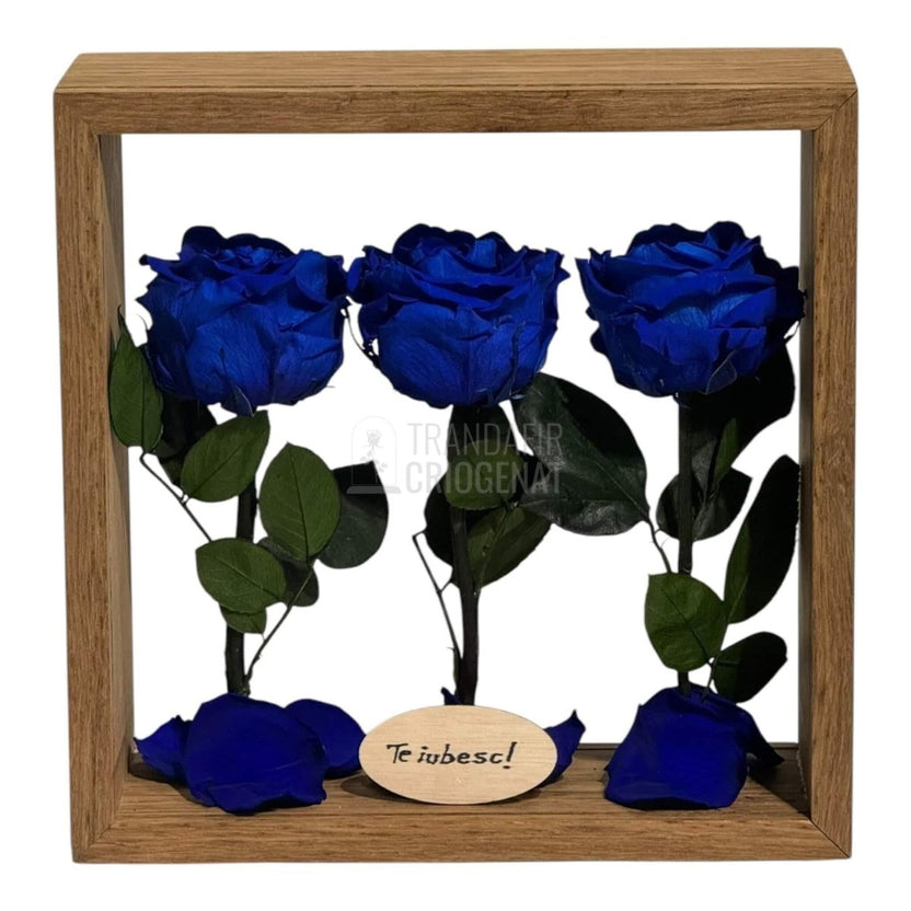 Aranjament De Masă Cu 3 Trandafiri Criogenați Albaștri Și Mesaj Personalizat 27x27 Cm - Trandafir - Criogenat.ro