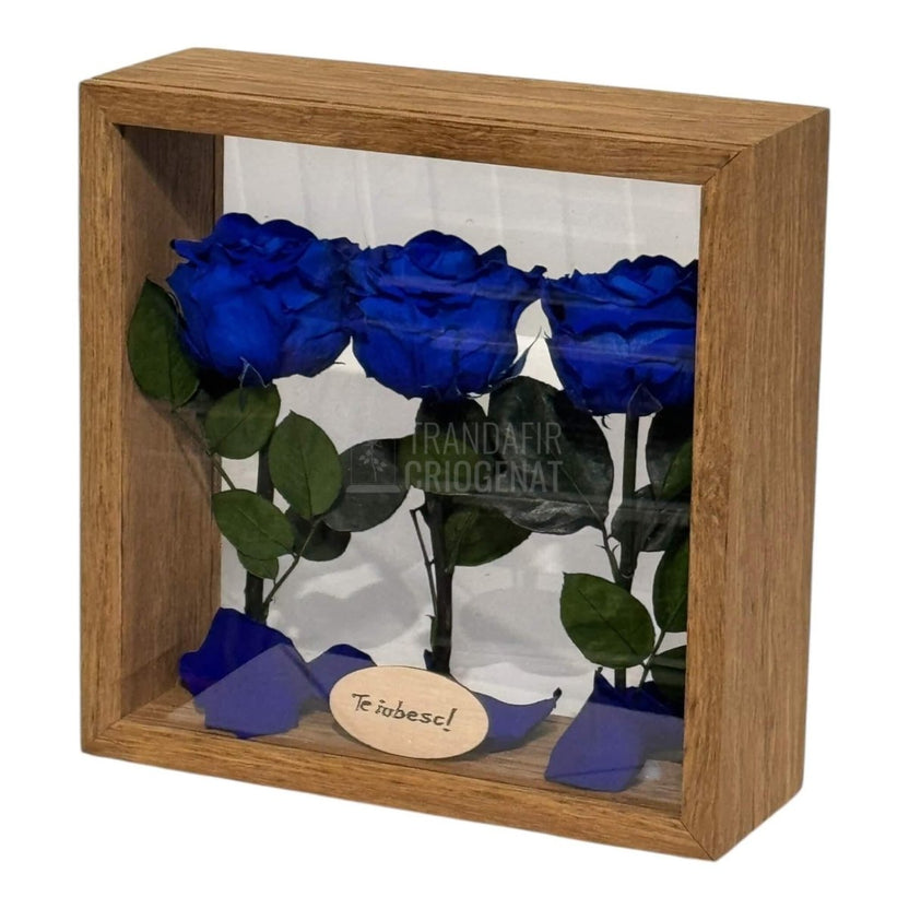 Aranjament De Masă Cu 3 Trandafiri Criogenați Albaștri Și Mesaj Personalizat 27x27 Cm - Trandafir - Criogenat.ro