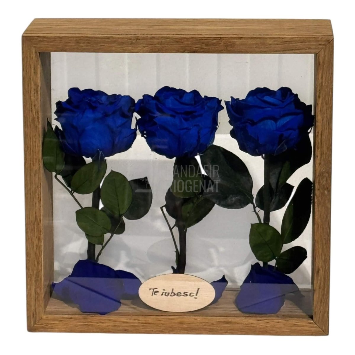 Aranjament De Masă Cu 3 Trandafiri Criogenați Albaștri Și Mesaj Personalizat 27x27 Cm - Trandafir - Criogenat.ro