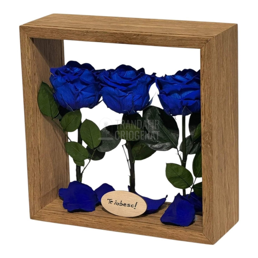 Aranjament De Masă Cu 3 Trandafiri Criogenați Albaștri Și Mesaj Personalizat 27x27 Cm - Trandafir - Criogenat.ro