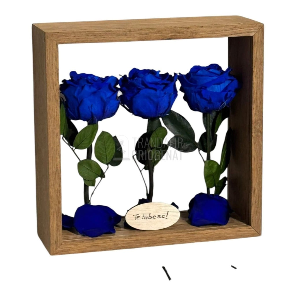 Aranjament De Masă Cu 3 Trandafiri Criogenați Albaștri Și Mesaj Personalizat 27x27 Cm - Trandafir - Criogenat.ro