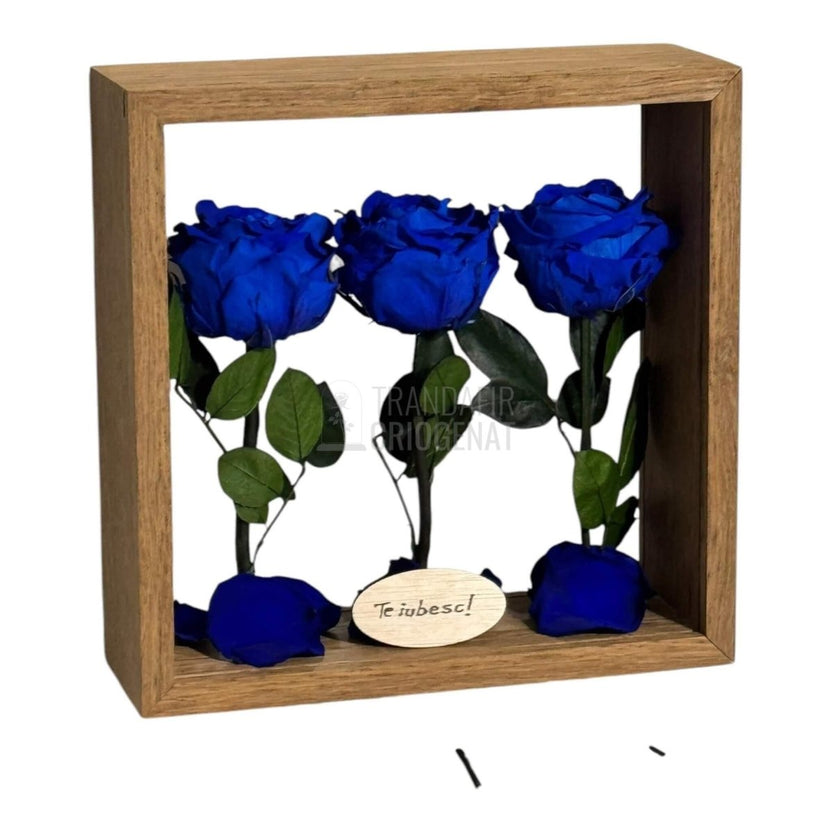 Aranjament De Masă Cu 3 Trandafiri Criogenați Albaștri Și Mesaj Personalizat 27x27 Cm - Trandafir - Criogenat.ro