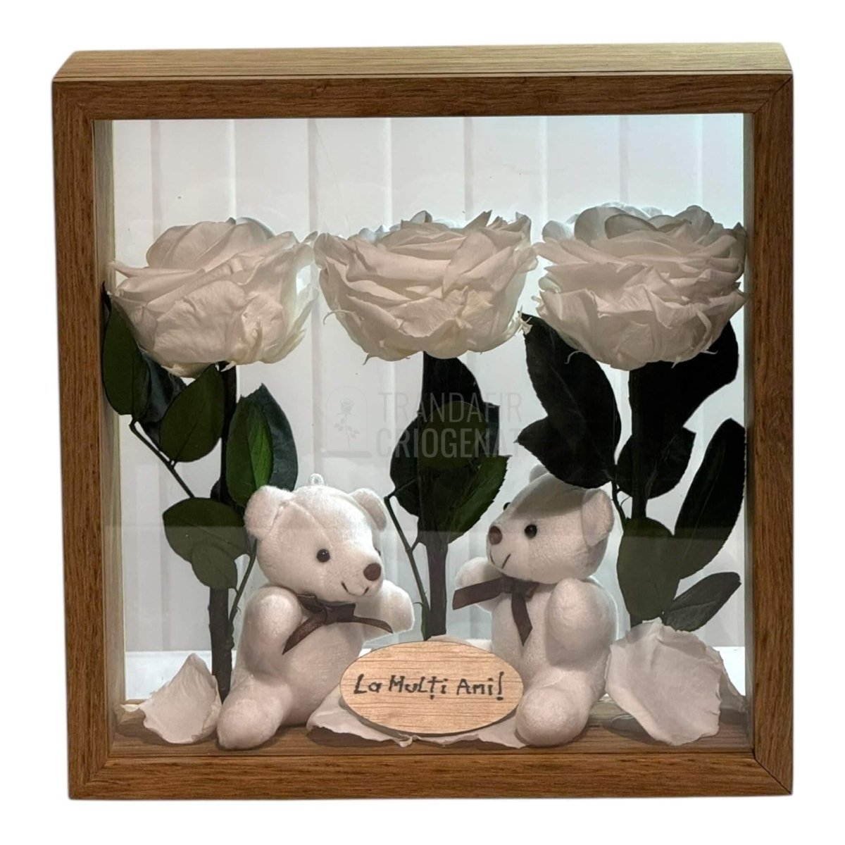 Aranjament De Masă Cu 3 Trandafiri Criogenați Albi Mesaj Personalizat Și 2 Ursuleți De Plus Cadoul Perfect - Trandafir - Criogenat.ro