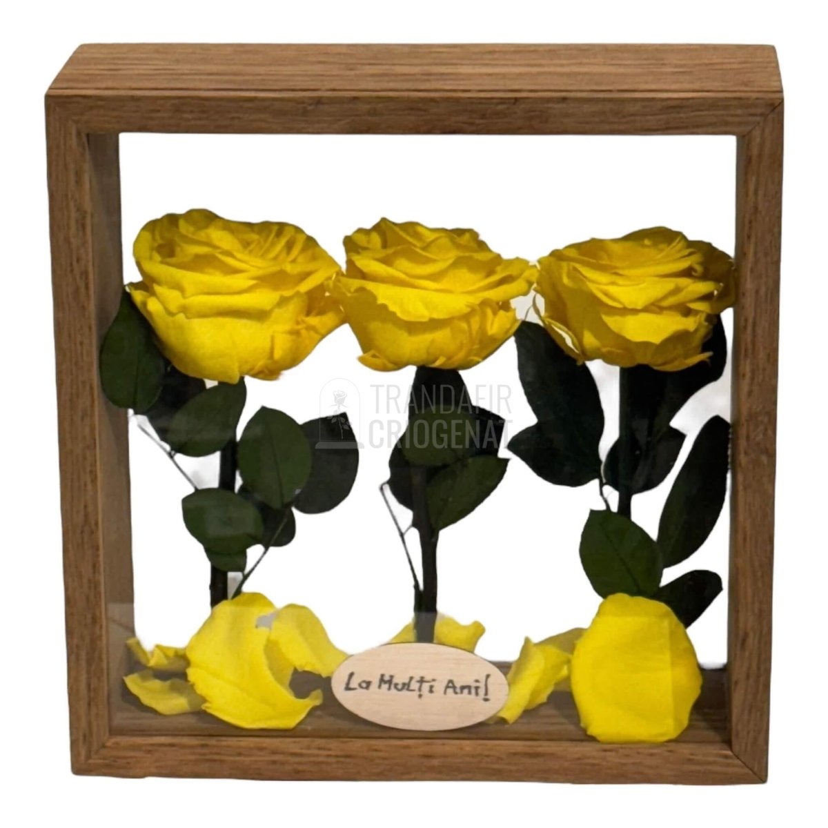 Aranjament de masă cu 3 trandafiri criogenați galbeni premium pentru decor în casă sau birou