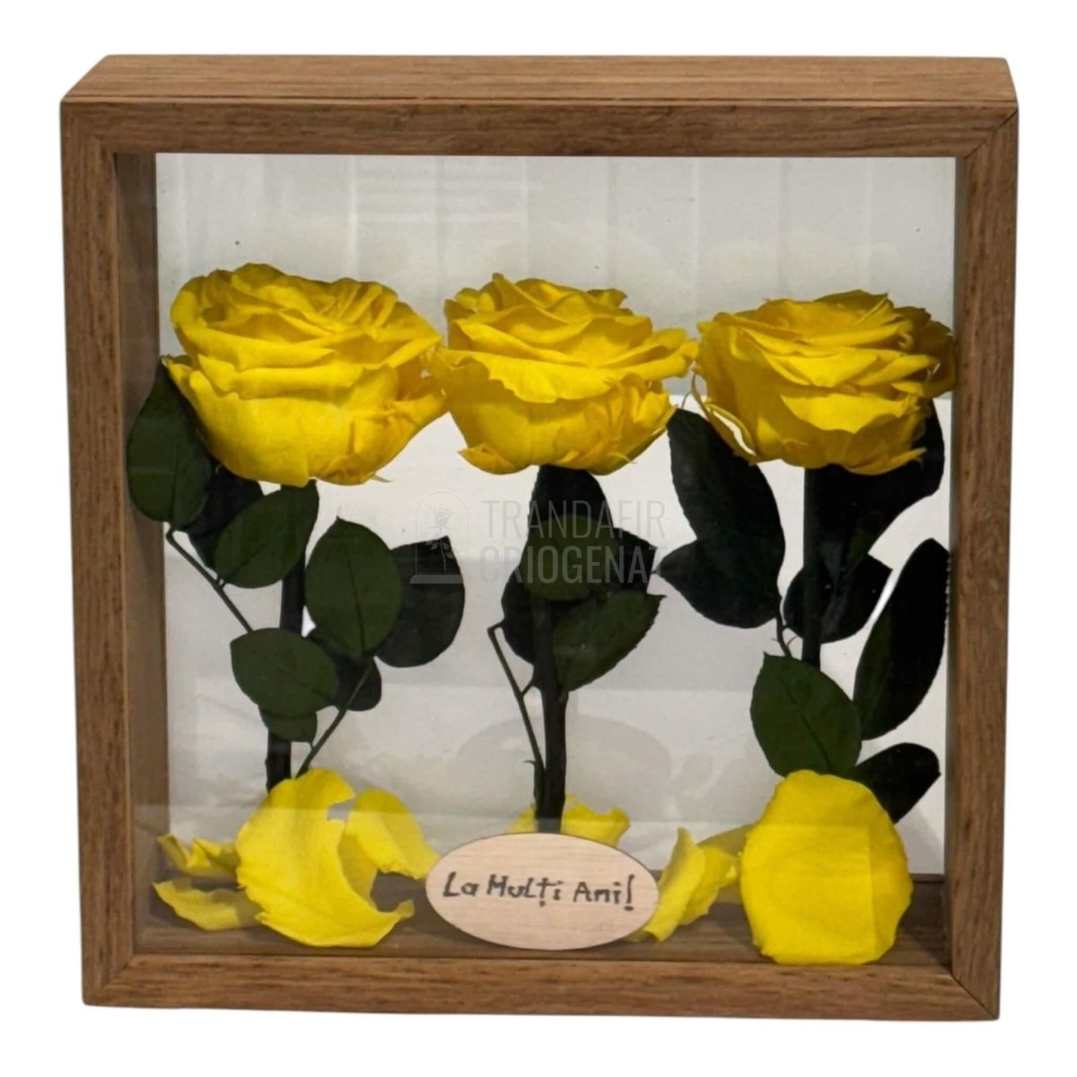 Aranjament De Masa Cu 3 Trandafiri Criogenați Galbeni Premium Pentru Decor Elegant În Casă Sau Birou Până La 25 De Ani - Trandafir - Criogenat.ro