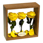 Aranjament De Masa Cu 3 Trandafiri Criogenați Galbeni Premium Pentru Decor Elegant În Casă Sau Birou Până La 25 De Ani - Trandafir - Criogenat.ro