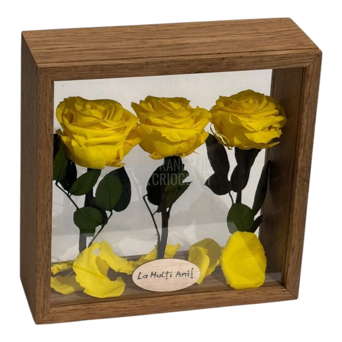 Aranjament De Masa Cu 3 Trandafiri Criogenați Galbeni Premium Pentru Decor Elegant În Casă Sau Birou Până La 25 De Ani - Trandafir - Criogenat.ro