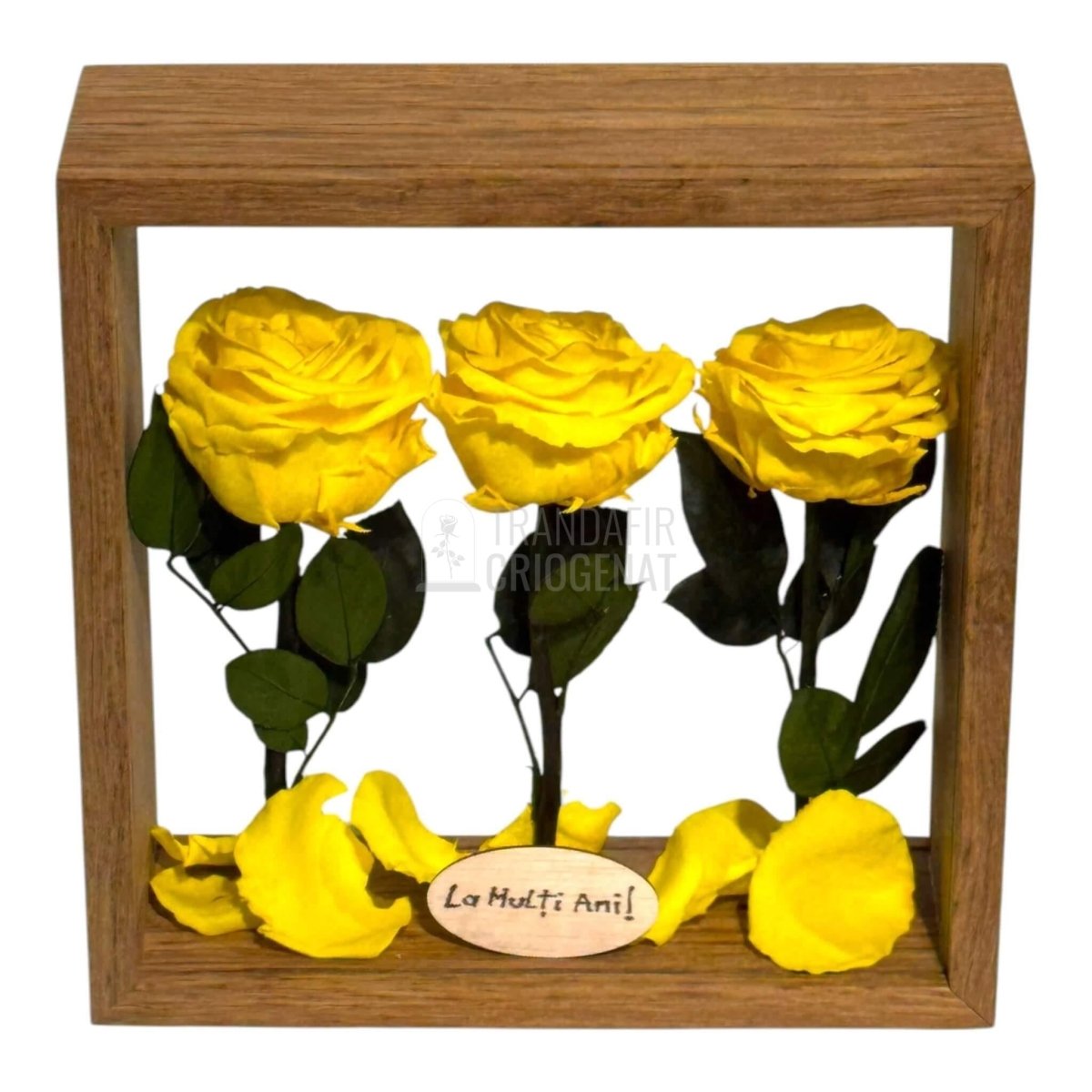 Aranjament De Masa Cu 3 Trandafiri Criogenați Galbeni Premium Pentru Decor Elegant În Casă Sau Birou Până La 25 De Ani - Trandafir - Criogenat.ro