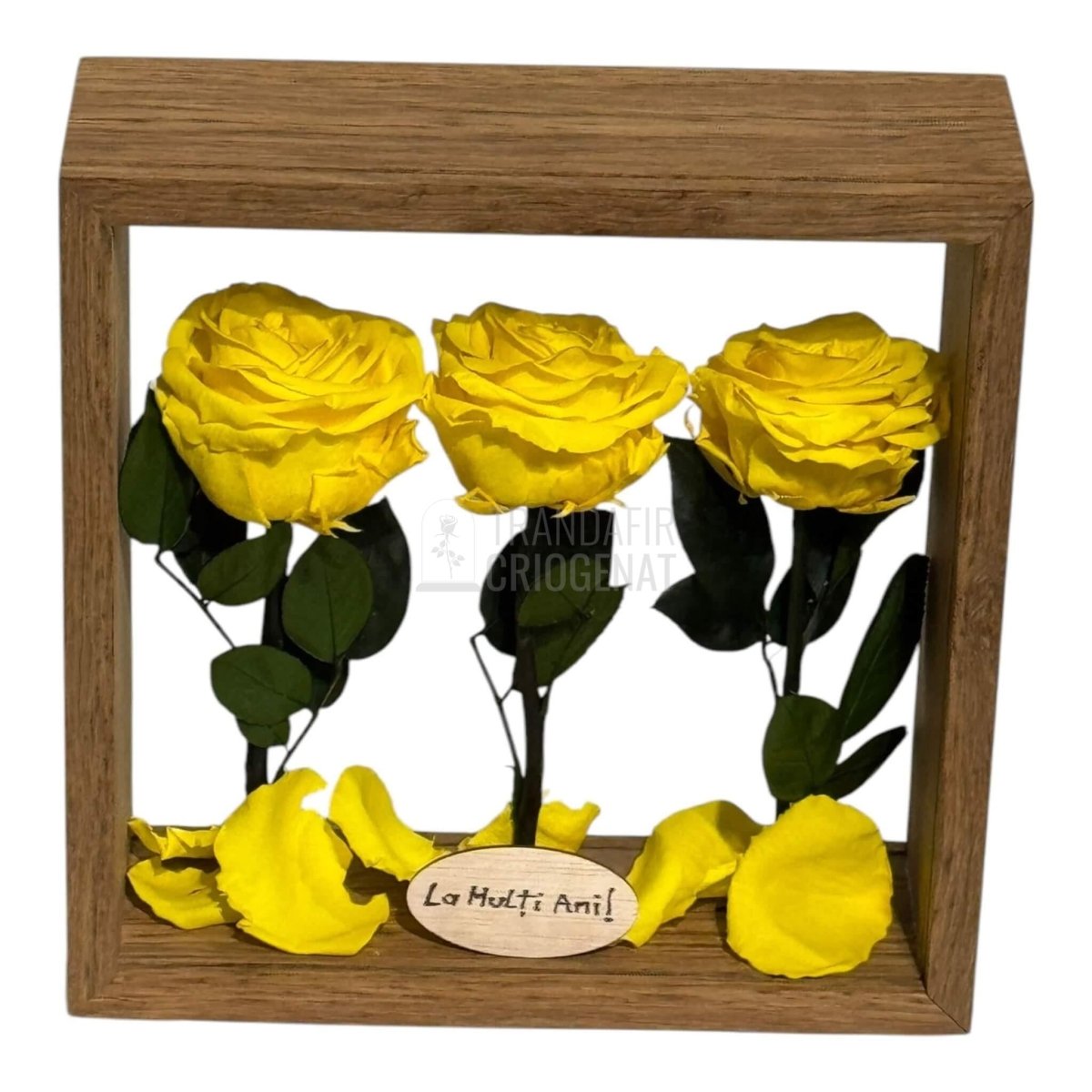 Aranjament De Masa Cu 3 Trandafiri Criogenați Galbeni Premium Pentru Decor Elegant În Casă Sau Birou Până La 25 De Ani - Trandafir - Criogenat.ro