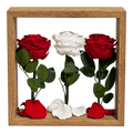 Aranjament de masă cu 3 trandafiri criogenați roșii și albi 27 × 27 cm