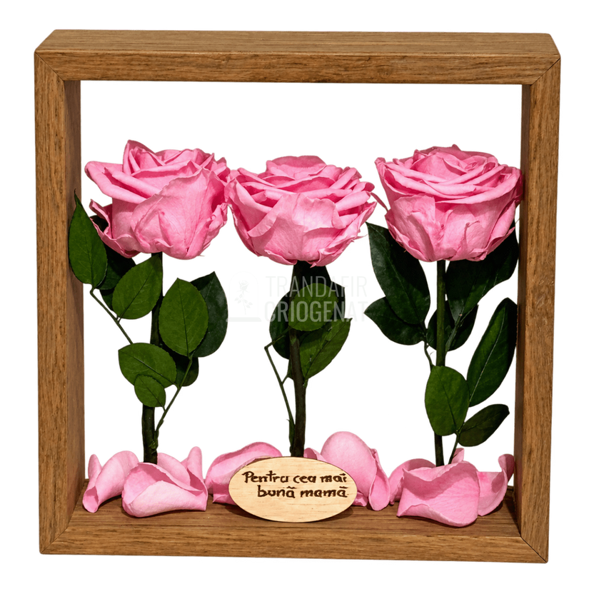 Aranjament de masă cu 3 trandafiri criogenați roz 27 × 27 cm - Trandafir-Criogenat.ro