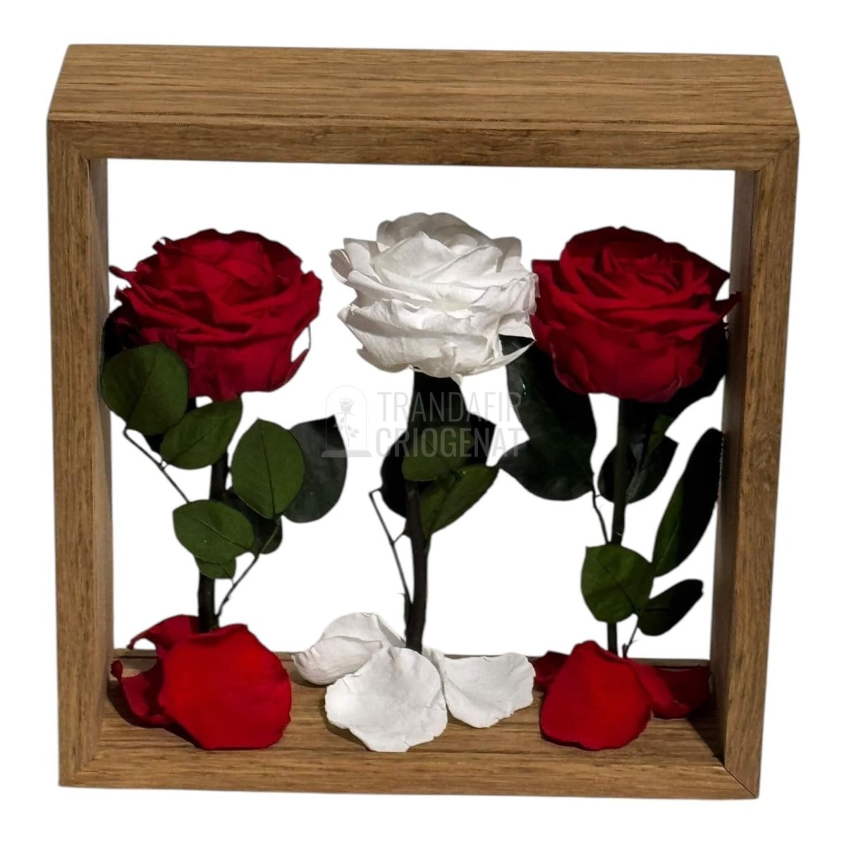 Aranjament de Masă cu Trandafiri Criogenați Eleganță și Simbol al Iubirii 27x27 cm - Trandafir - Criogenat.ro