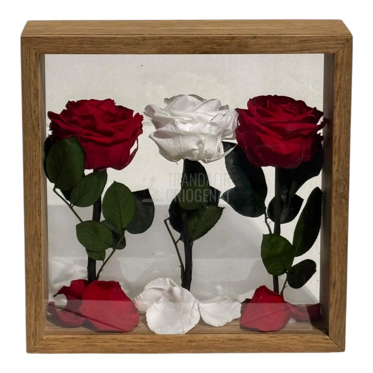 Aranjament de Masă cu Trandafiri Criogenați Eleganță și Simbol al Iubirii 27x27 cm - Trandafir - Criogenat.ro