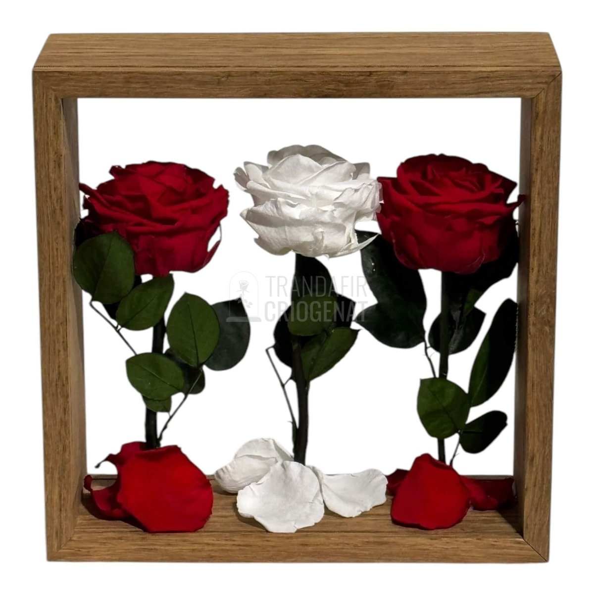 Aranjament de Masă cu Trandafiri Criogenați Eleganță și Simbol al Iubirii 27x27 cm - Trandafir - Criogenat.ro