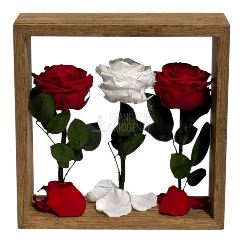 Aranjament de Masă cu Trandafiri Criogenați Eleganță și Simbol al Iubirii 27x27 cm - Trandafir - Criogenat.ro
