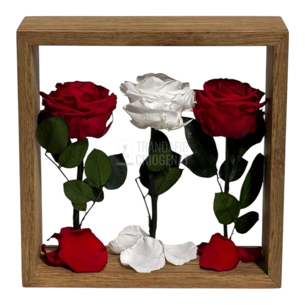 Aranjament de Masă cu Trandafiri Criogenați Eleganță și Simbol al Iubirii 27x27 cm - Trandafir - Criogenat.ro