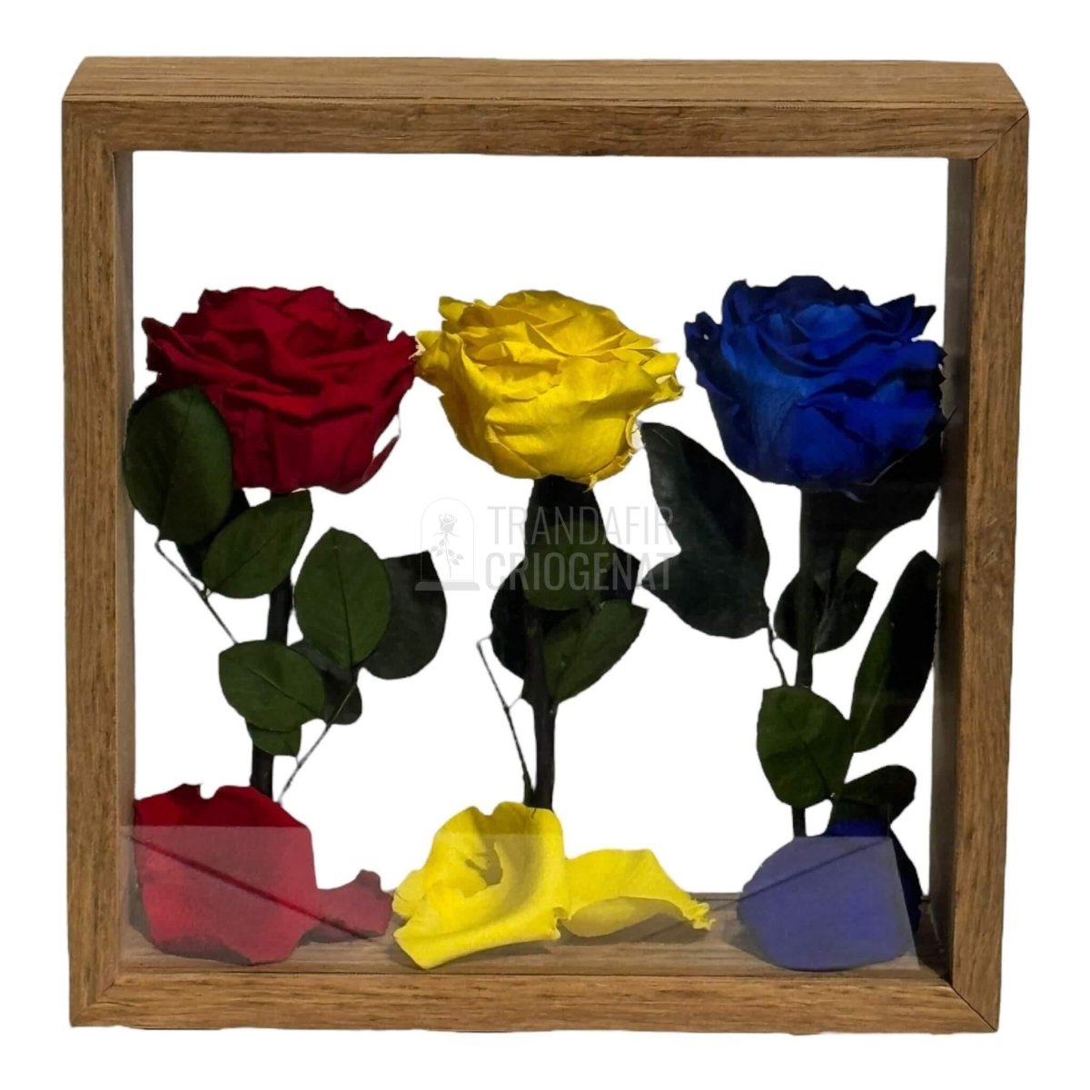 Aranjament De Masă Cu Trandafiri Criogenați În Culorile României Pentru Patriotism Și Eleganță - Trandafir - Criogenat.ro