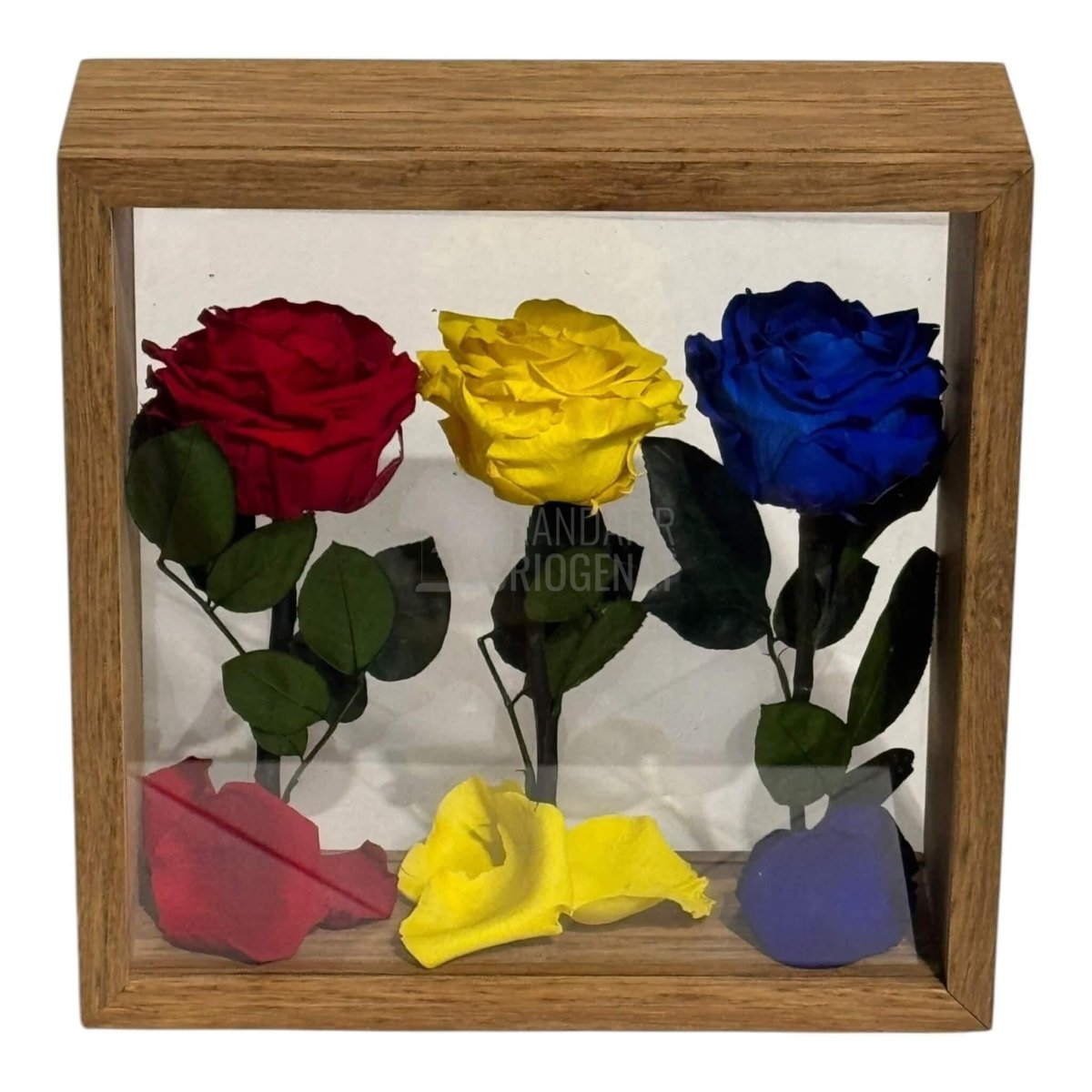 Aranjament De Masă Cu Trandafiri Criogenați În Culorile României Pentru Patriotism Și Eleganță - Trandafir - Criogenat.ro