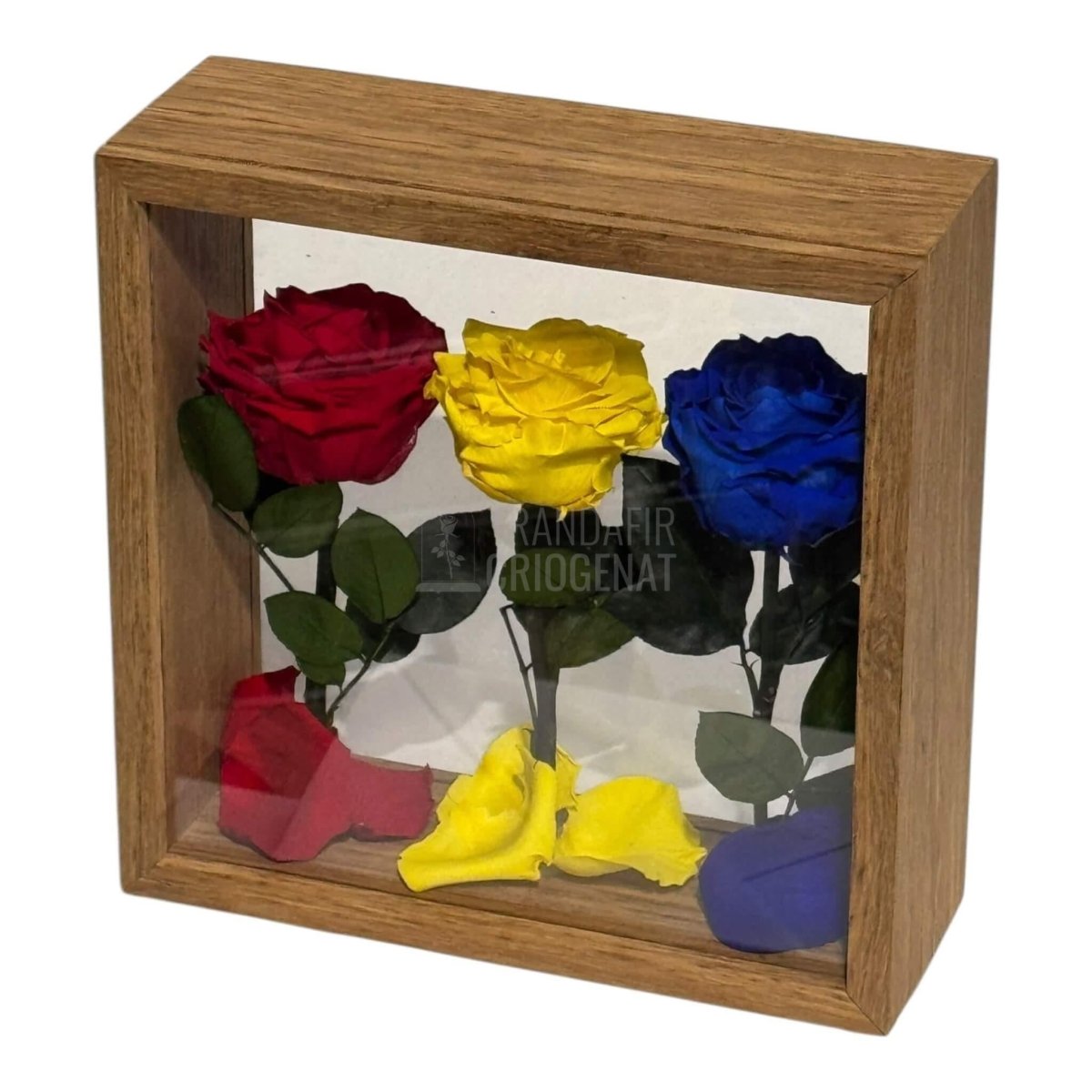 Aranjament De Masă Cu Trandafiri Criogenați În Culorile României Pentru Patriotism Și Eleganță - Trandafir - Criogenat.ro