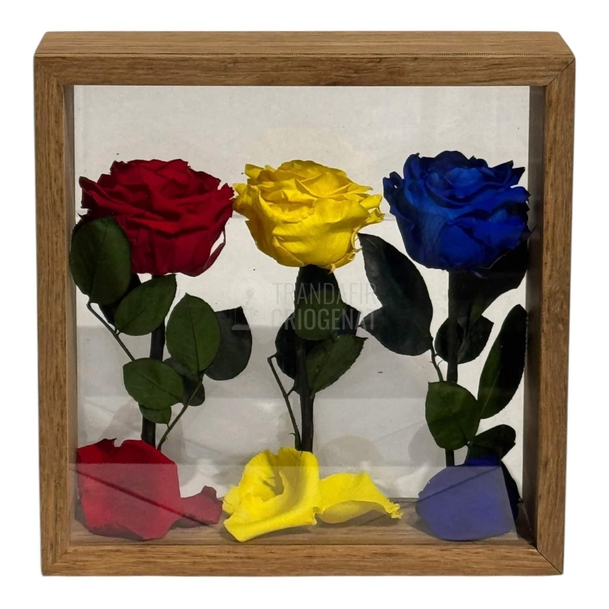 Aranjament De Masă Cu Trandafiri Criogenați În Culorile României Pentru Patriotism Și Eleganță - Trandafir - Criogenat.ro