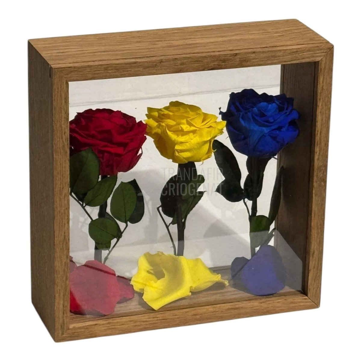 Aranjament De Masă Cu Trandafiri Criogenați În Culorile României Pentru Patriotism Și Eleganță - Trandafir - Criogenat.ro