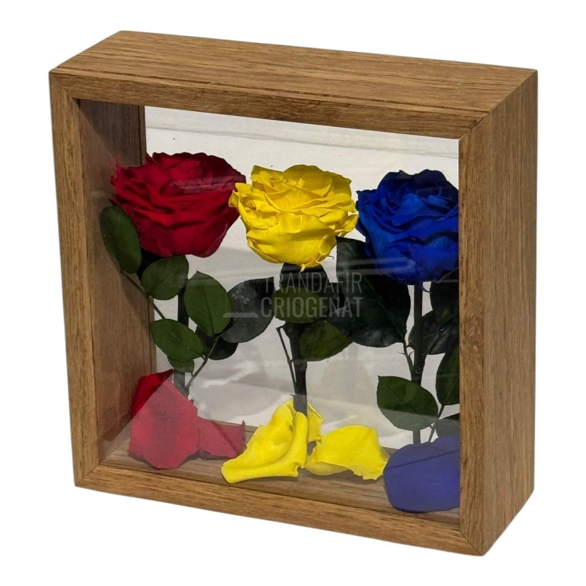 Aranjament De Masă Cu Trandafiri Criogenați În Culorile României Pentru Patriotism Și Eleganță - Trandafir - Criogenat.ro