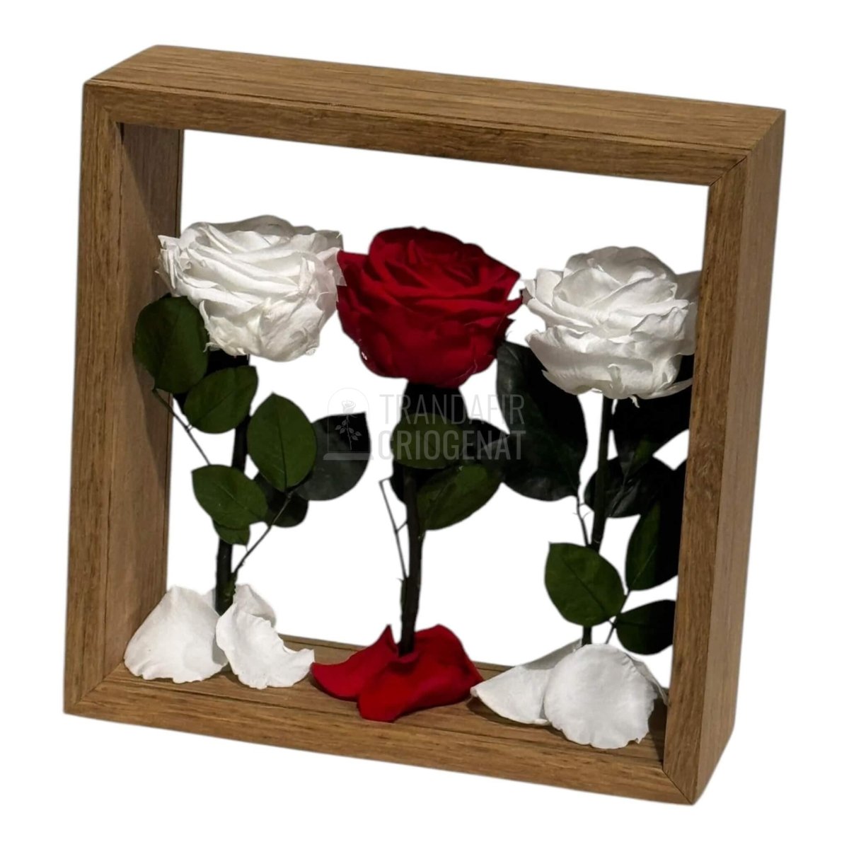 Aranjament De Masa Cu Trandafiri Criogenați Premium Eleganță Naturală Durează Până La 25 De Ani - Trandafir - Criogenat.ro