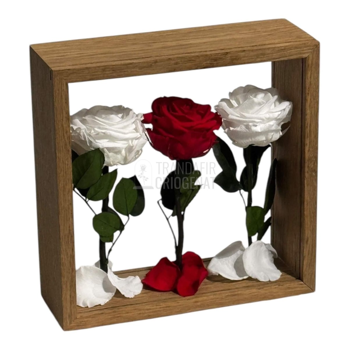 Aranjament De Masa Cu Trandafiri Criogenați Premium Eleganță Naturală Durează Până La 25 De Ani - Trandafir - Criogenat.ro