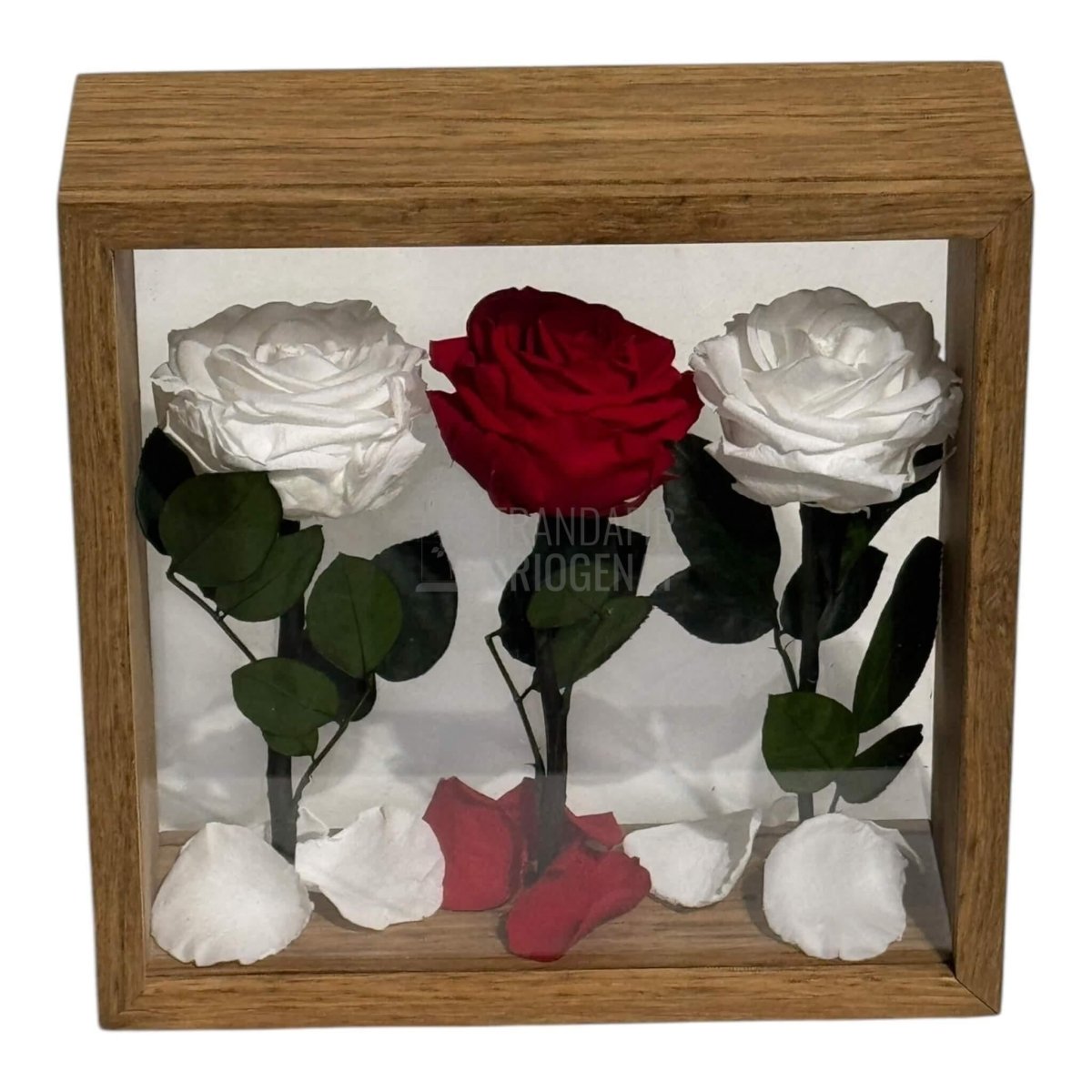 Aranjament De Masa Cu Trandafiri Criogenați Premium Eleganță Naturală Durează Până La 25 De Ani - Trandafir - Criogenat.ro