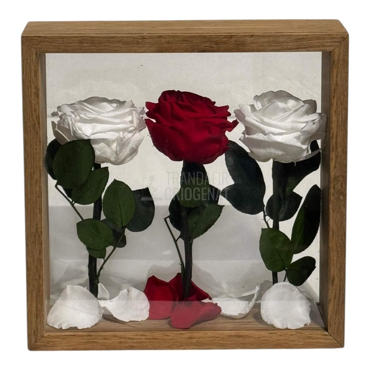 Aranjament De Masa Cu Trandafiri Criogenați Premium Eleganță Naturală Durează Până La 25 De Ani - Trandafir - Criogenat.ro