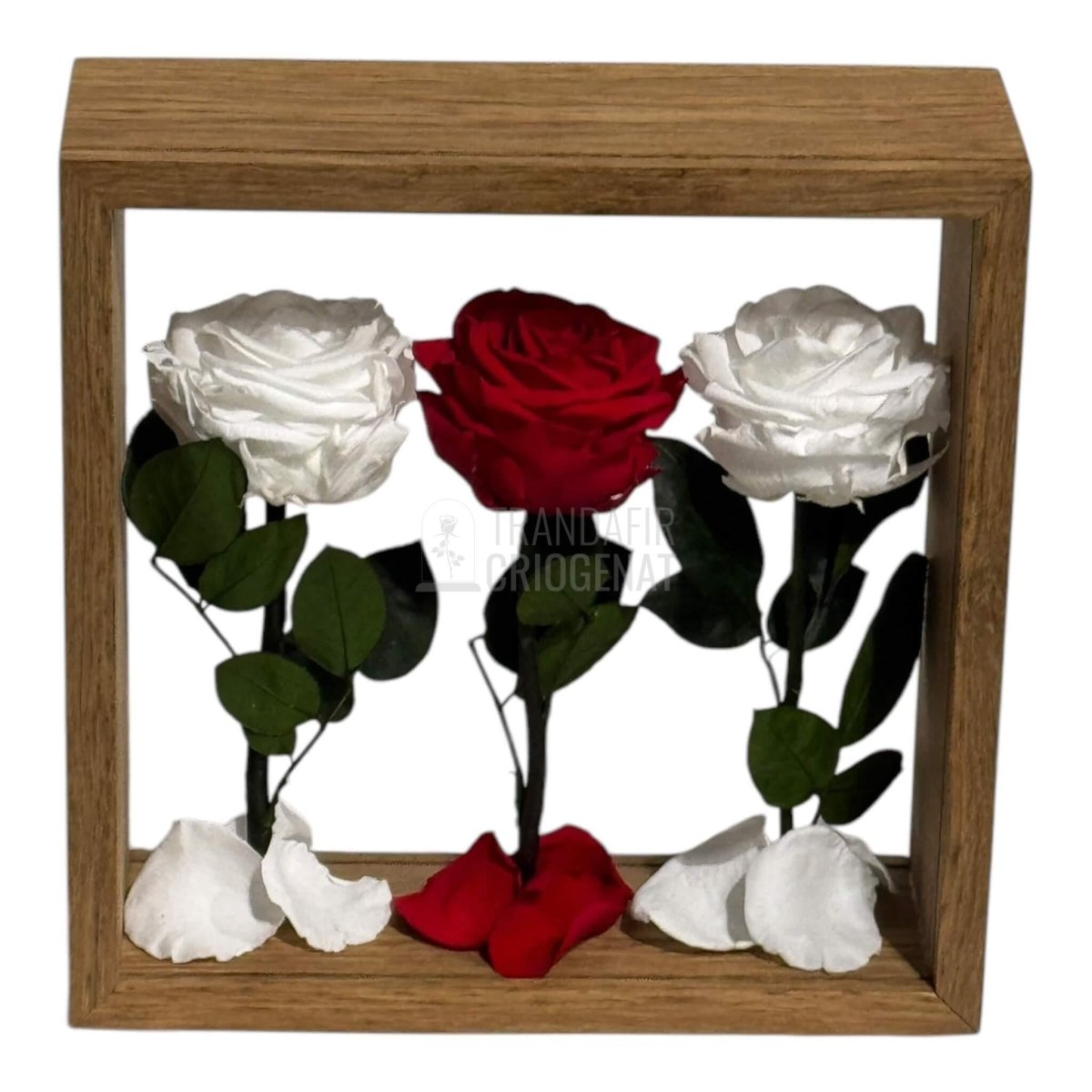 Aranjament De Masa Cu Trandafiri Criogenați Premium Eleganță Naturală Durează Până La 25 De Ani - Trandafir - Criogenat.ro