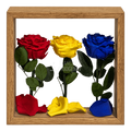 Aranjament tricolor cu 3 trandafiri criogenați, 27 × 27 cm