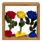 Aranjament tricolor cu 3 trandafiri criogenați, 27 × 27 cm