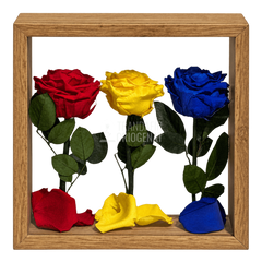 Aranjament tricolor cu 3 trandafiri criogenați, 27 × 27 cm