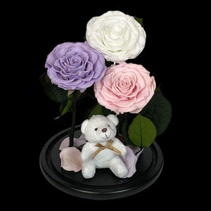 Buchet Elegant Cu 3 Trandafiri Criogenati Alb Lila Roz Pal În Cupolă De Sticlă - Trandafir - Criogenat.ro