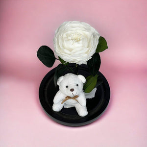 Bujor Criogenat Alb În Cupolă De Sticlă Cu Bază Din Lemn Negru Ø10cm 15x25cm - Trandafir - Criogenat.ro