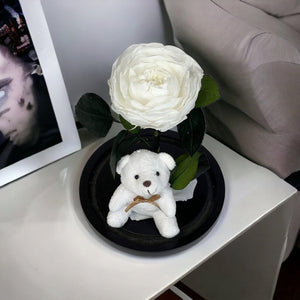 Bujor Criogenat Alb În Cupolă De Sticlă Cu Bază Din Lemn Negru Ø10cm 15x25cm - Trandafir - Criogenat.ro