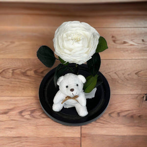 Bujor Criogenat Alb În Cupolă De Sticlă Cu Bază Din Lemn Negru Ø10cm 15x25cm - Trandafir - Criogenat.ro