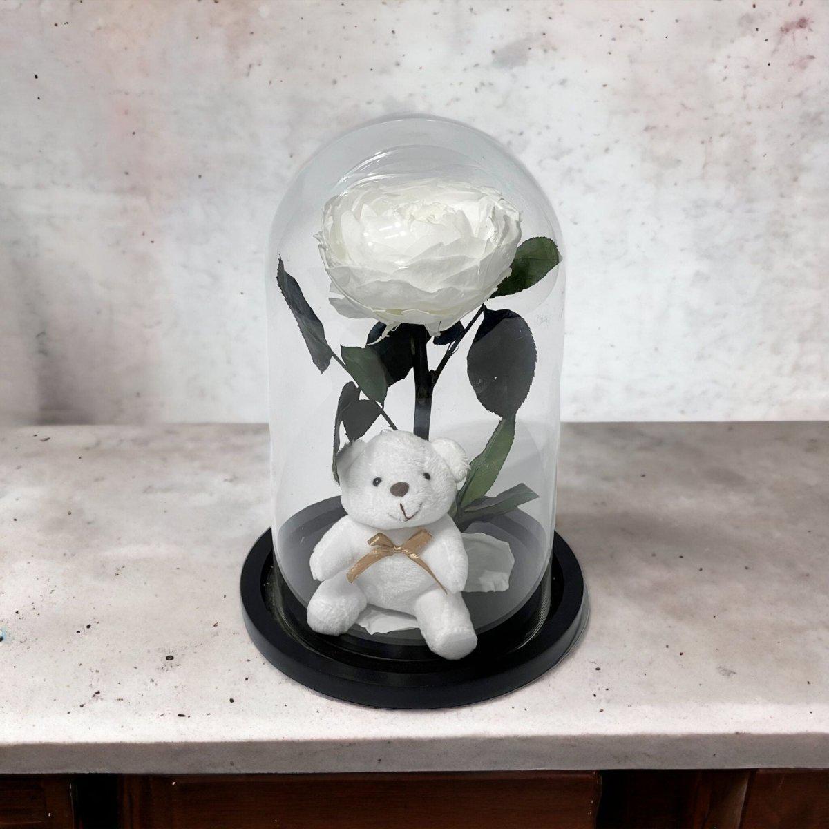 Bujor Criogenat Alb În Cupolă De Sticlă Cu Bază Din Lemn Negru Ø10cm 15x25cm - Trandafir - Criogenat.ro