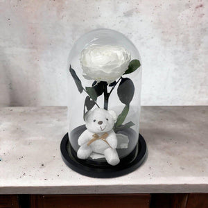 Bujor Criogenat Alb În Cupolă De Sticlă Cu Bază Din Lemn Negru Ø10cm 15x25cm - Trandafir - Criogenat.ro